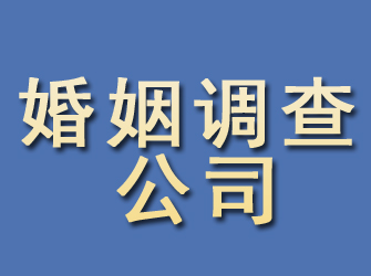 特克斯婚姻调查公司